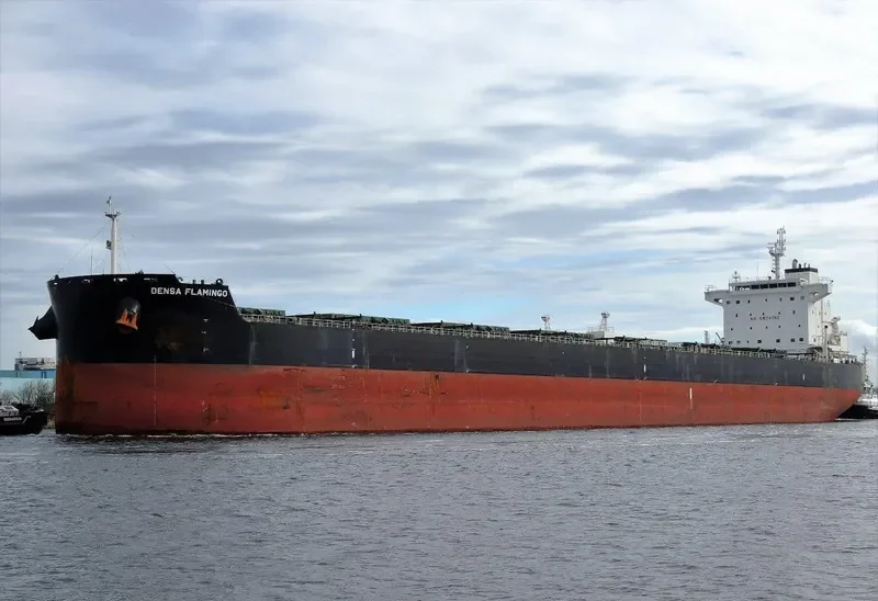 DENSA FLAMINGO Bulk Carrier IMO 9603283 photo 7