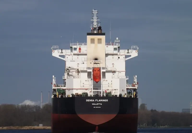 DENSA FLAMINGO Bulk Carrier IMO 9603283 photo 8