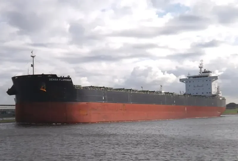 DENSA FLAMINGO Bulk Carrier IMO 9603283 photo 10