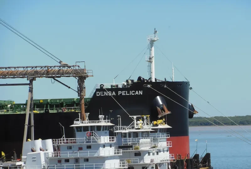 DENSA PELICAN Bulk Carrier IMO 9603300 photo 3