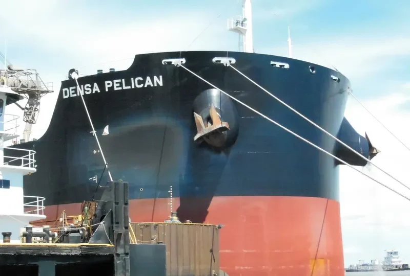 DENSA PELICAN Bulk Carrier IMO 9603300 photo 5