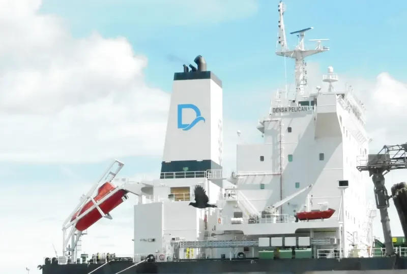 DENSA PELICAN Bulk Carrier IMO 9603300 photo 7