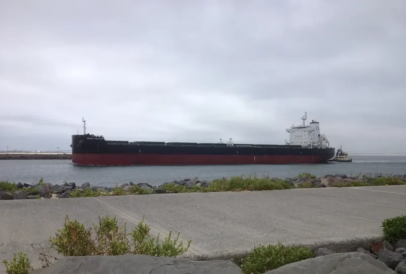 DENSA PELICAN Bulk Carrier IMO 9603300 photo 9