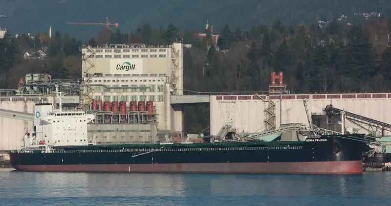 DENSA PELICAN Bulk Carrier IMO 9603300 photo 10