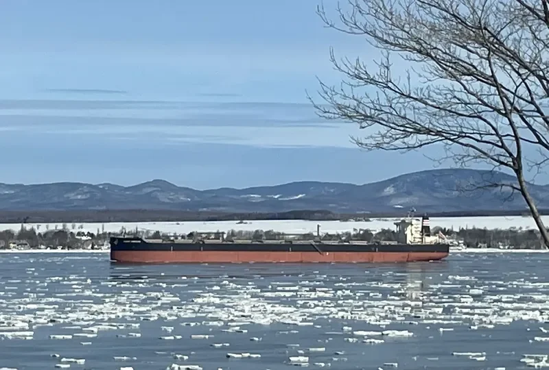 CLEAR HORIZON Bulk Carrier IMO 9603427 photo 5