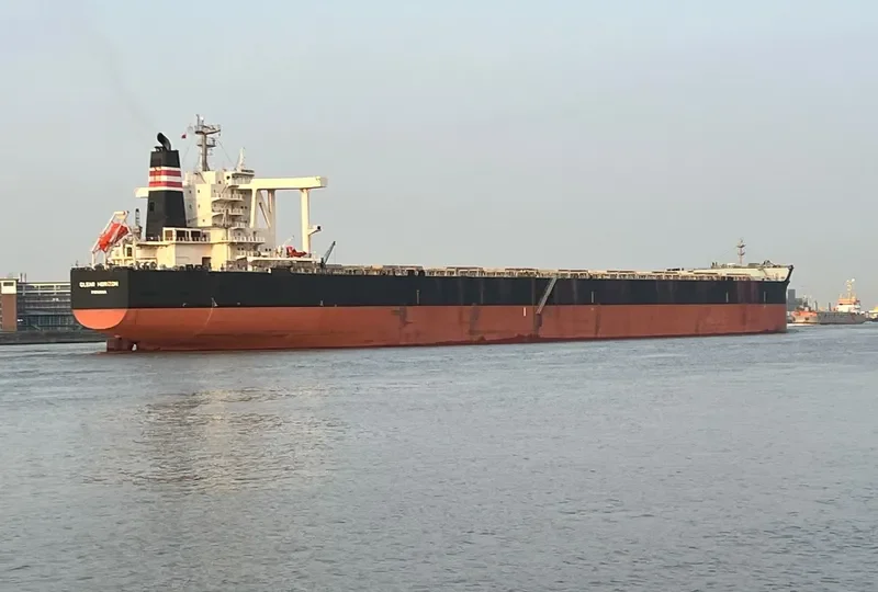 CLEAR HORIZON Bulk Carrier IMO 9603427 photo 8