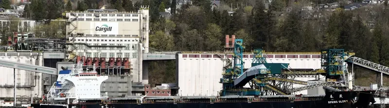 SPRING GLORY Bulk Carrier IMO 9603491 photo 8