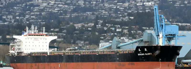 SPRING GLORY Bulk Carrier IMO 9603491 photo 10