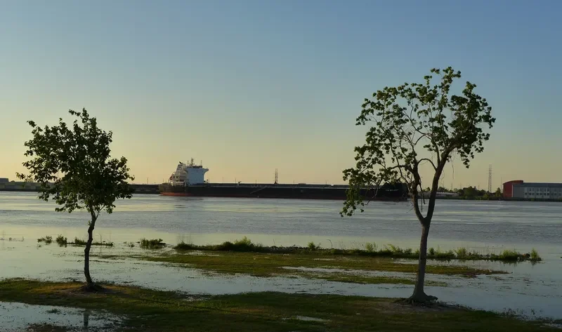 TW BEIJING Bulk Carrier IMO 9603506 photo 3