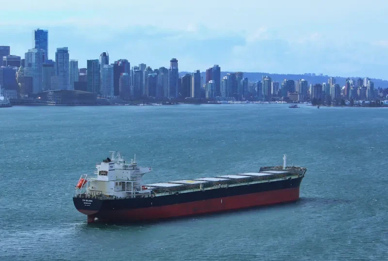 TW BEIJING Bulk Carrier IMO 9603506 photo 4