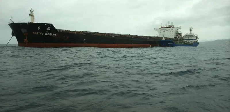 SPRING WEALTH Bulk Carrier IMO 9603518