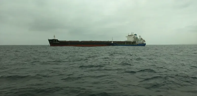 SPRING WEALTH Bulk Carrier IMO 9603518 photo 2