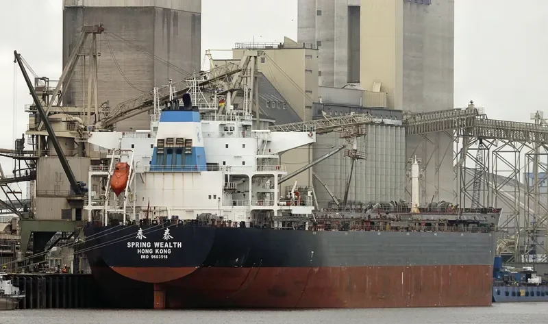 SPRING WEALTH Bulk Carrier IMO 9603518 photo 3