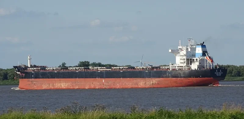 SPRING WEALTH Bulk Carrier IMO 9603518 photo 4