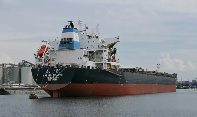 SPRING WEALTH Bulk Carrier IMO 9603518 photo 5