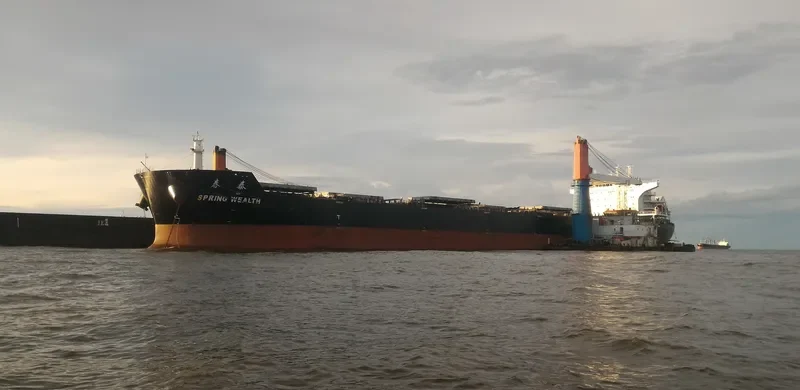 SPRING WEALTH Bulk Carrier IMO 9603518 photo 7