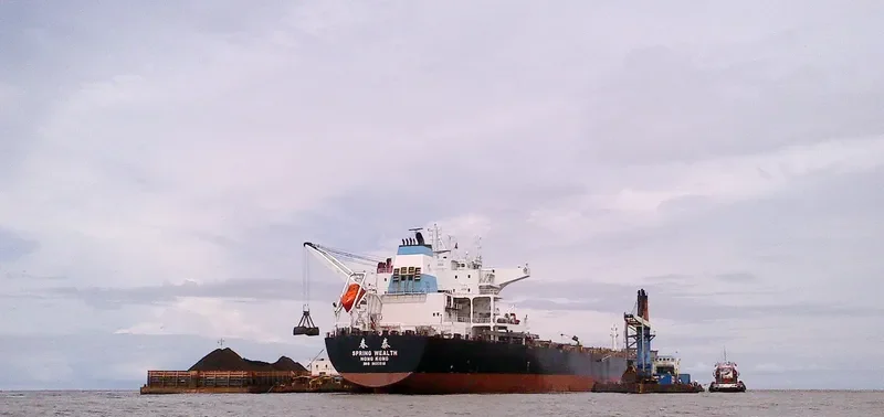 SPRING WEALTH Bulk Carrier IMO 9603518 photo 9