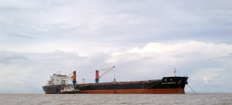 SPRING WEALTH Bulk Carrier IMO 9603518 photo 10