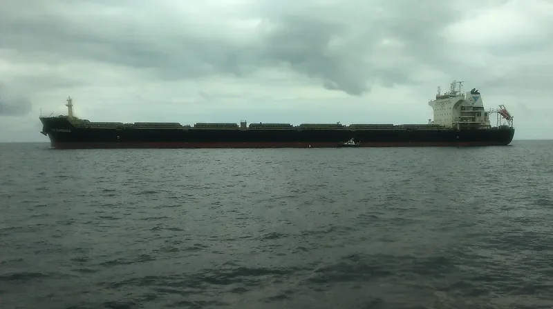 TW HAMBURG Bulk Carrier IMO 9603520