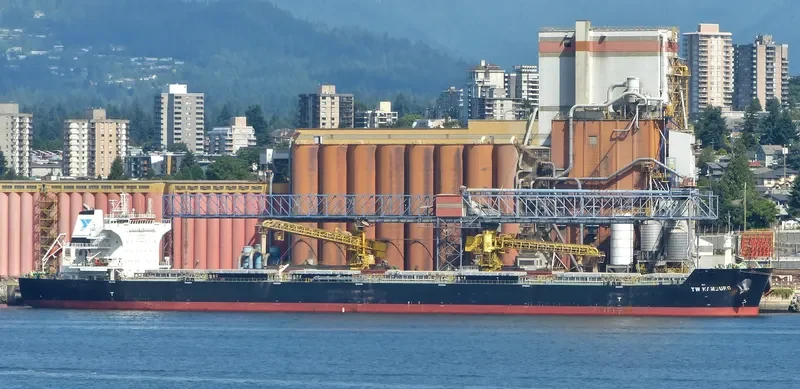 TW HAMBURG Bulk Carrier IMO 9603520 photo 4