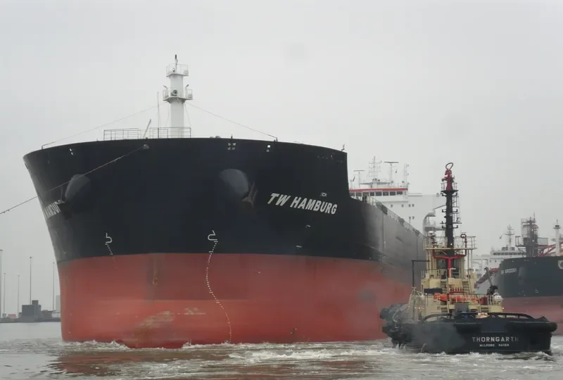 TW HAMBURG Bulk Carrier IMO 9603520 photo 7