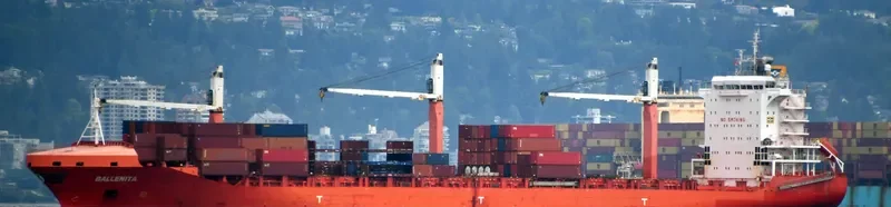 BALLENITA Container Ship IMO 9603609 photo 4