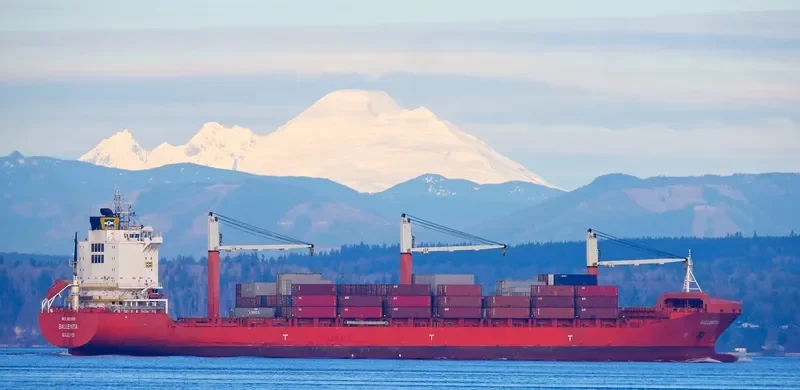 BALLENITA Container Ship IMO 9603609 photo 10