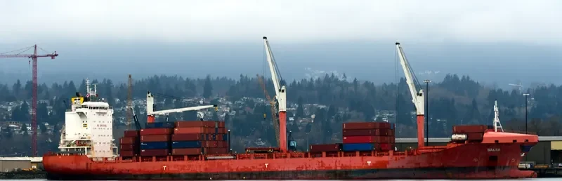 BALSA Container Ship IMO 9603611 photo 2