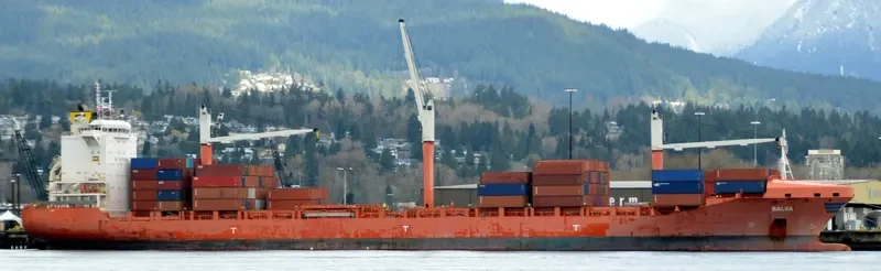 BALSA Container Ship IMO 9603611 photo 9
