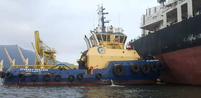 STARNAV PEGASUS General Cargo IMO 9603673 photo 3