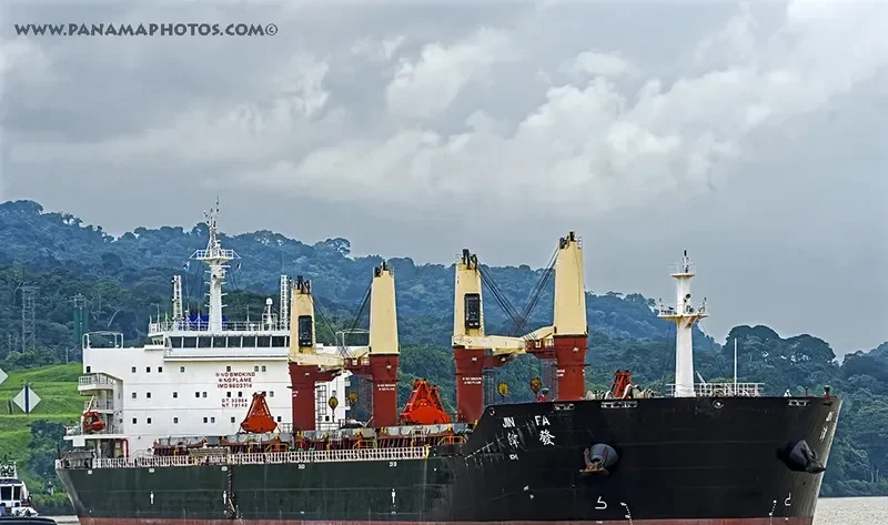 JIN FA Bulk Carrier IMO 9603714