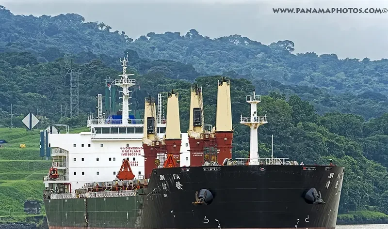 JIN FA Bulk Carrier IMO 9603714 photo 2