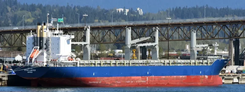 STAR LUSTER Container Ship IMO 9603805 photo 8