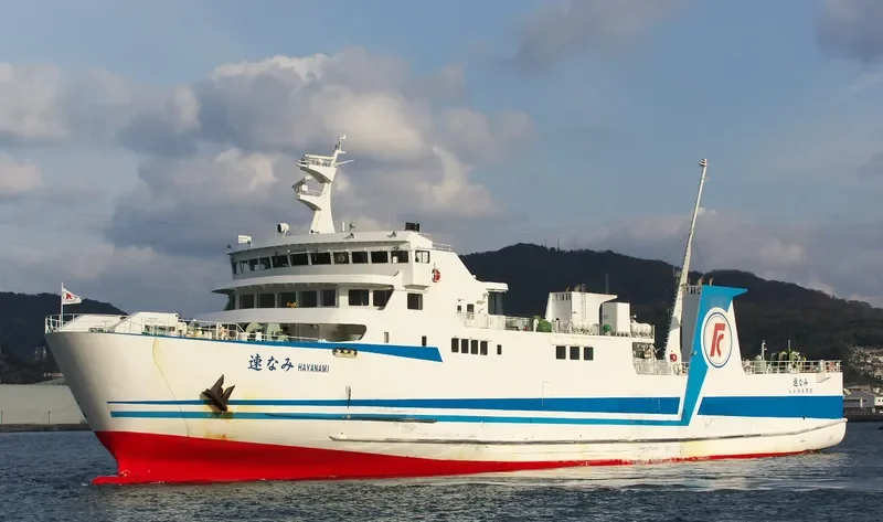 HAYANAMI Ro-Ro IMO 9603831