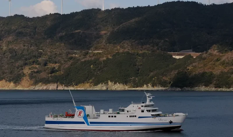 HAYANAMI Ro-Ro IMO 9603831 photo 4