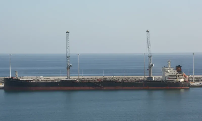VISHVA CHETNA Bulk Carrier IMO 9603893 photo 4