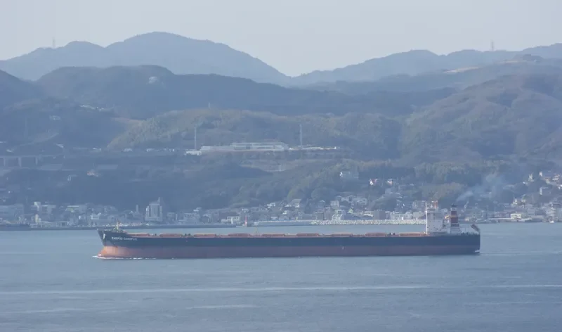 CAPE CYNTHIA Bulk Carrier IMO 9603908 photo 6