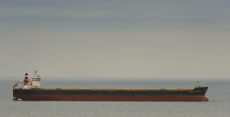 CAPE CYNTHIA Bulk Carrier IMO 9603908 photo 7