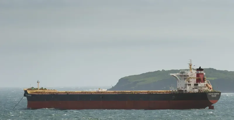 CAPE CYNTHIA Bulk Carrier IMO 9603908 photo 8