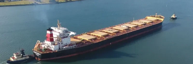 MSXT CAPELLA Bulk Carrier IMO 9603910