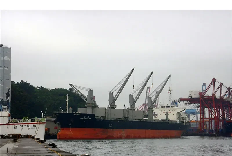 DANCEFLORA SW Bulk Carrier IMO 9603946 photo 3