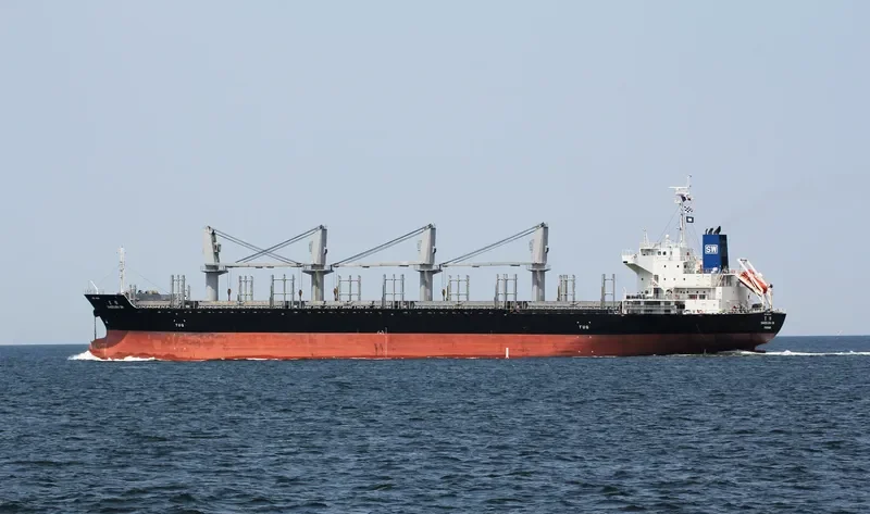 DANCEFLORA SW Bulk Carrier IMO 9603946 photo 4