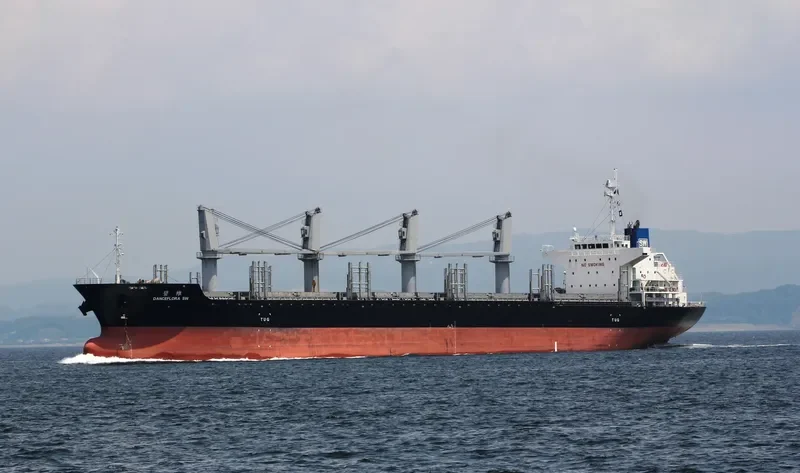 DANCEFLORA SW Bulk Carrier IMO 9603946 photo 6