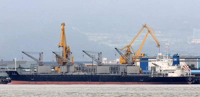 DANCEFLORA SW Bulk Carrier IMO 9603946 photo 7