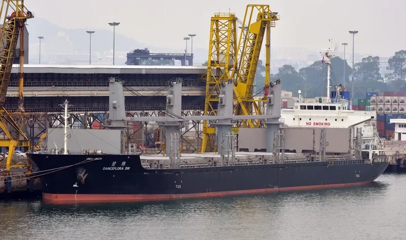 DANCEFLORA SW Bulk Carrier IMO 9603946 photo 9