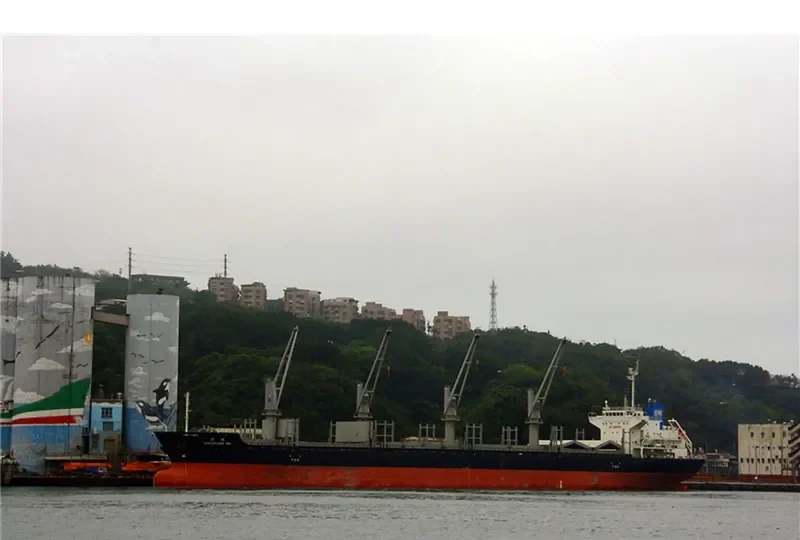 DANCEFLORA SW Bulk Carrier IMO 9603946 photo 10