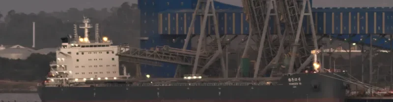 YANGZE 12 Bulk Carrier IMO 9604017