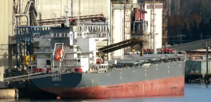 YANGZE 12 Bulk Carrier IMO 9604017 photo 7