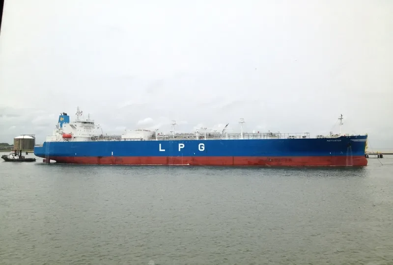 MOTIVATOR General Cargo IMO 9604392 photo 7