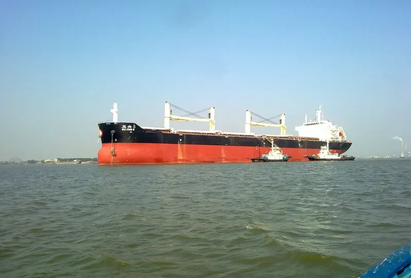 WU XING 5 Bulk Carrier IMO 9604598 photo 2